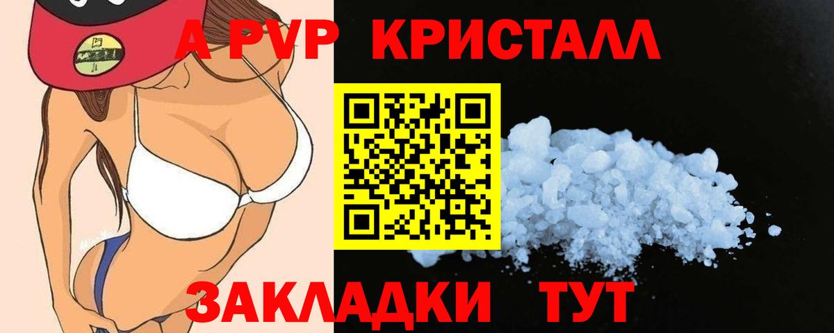 Alfa_PVP СК КРИС Куйбышев