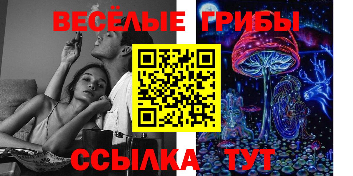 Псилоцибиновые грибы прущие грибы  Вход с VPN  Галлюциногенные грибы Cubensis  Куйбышев 